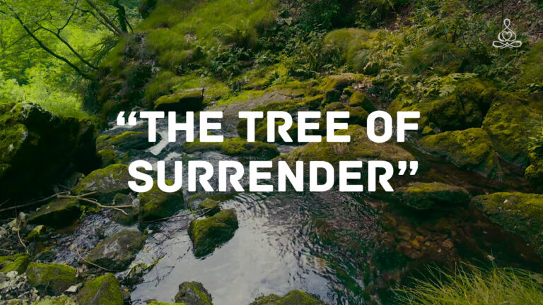 The Tree of Surrender