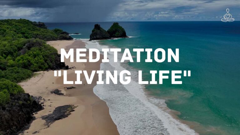 Meditation “Living Life”
