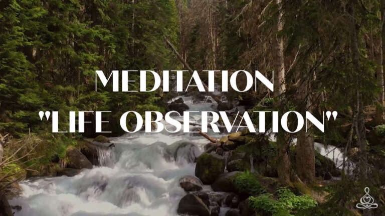 Meditation “Life observation”