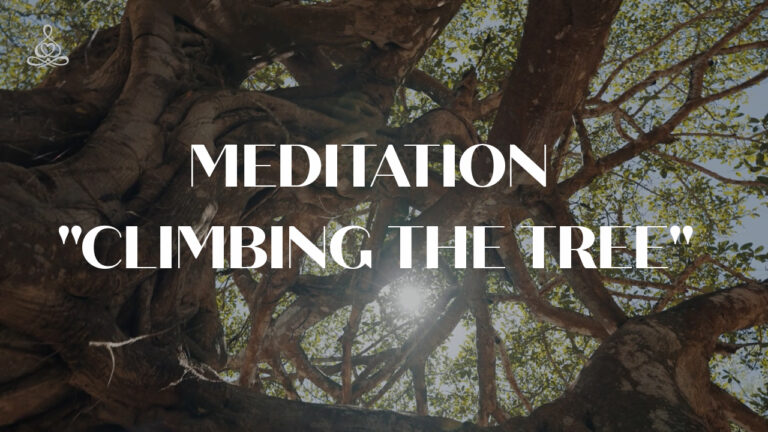 Meditation “Climbing the tree”