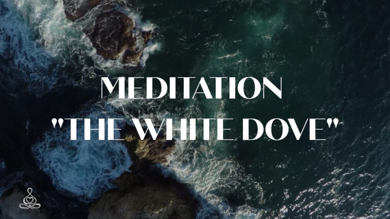 Meditation “The white dove”